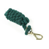 Gevlochten longe Shires - Groen