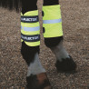Reflecterende Equi-Flector® Shires-gaiters - Feloranje