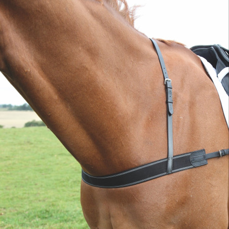 Elastische borsttuiging Shires Velociti Gara