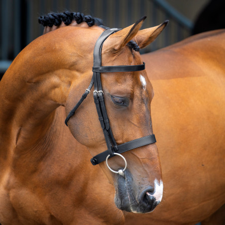 Trenshoofdstel met jachtcavesson Shires Velociti Lusso