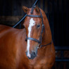 Hunter Shires Velociti Rapida kaptoomhoofdstel - Havana