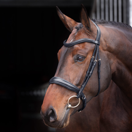 Hoofdstel met gevoerde neusriem Elite Shires Velociti Lusso