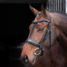Hoofdstel met gevoerde neusriem Elite Shires Velociti Lusso - Zwart