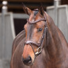 Hoofdstel met Frans neusriem Elite Shires Velociti Lusso - Havana