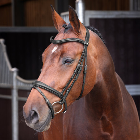 Hoofdstel met opgehoogde, gevoerde Franse neusriem Elite Shires Velociti Lusso