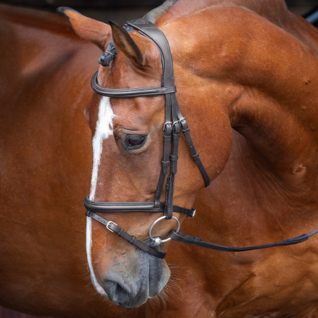 Hoofdstel met verhoogde gevoerde Franse neusriem Shires Velociti Rapida