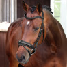 Dressuurhoofdstel met Engelse neusriem Elite Shires Velociti Lusso - Zwart