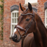 Bridon de dressage à muserolle française Opus 180M Shires Velociti Lusso - Havane