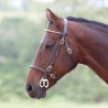 Presentatiehoofdstel met clinchers Shires Velociti Gara - Havana