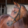 Hoofdstel Hunter Elite Shires Velociti Lusso - Zwart