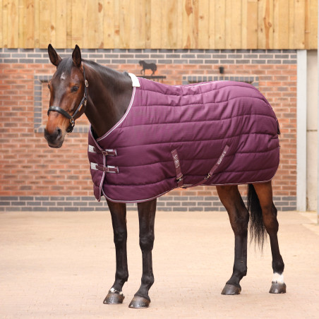 Staldeken Original 300 Shires Tempest