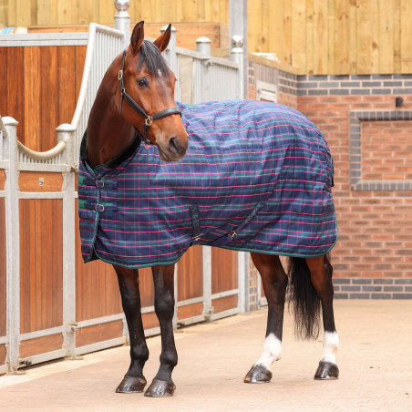 Staldeken Plus 100 Shires Tempest