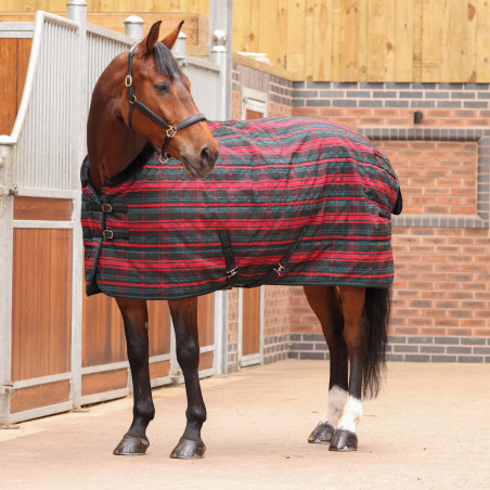 Staldeken Plus 200 Shires Tempest