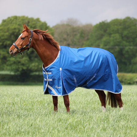 Buitendeken Original 200 Shires Highlander