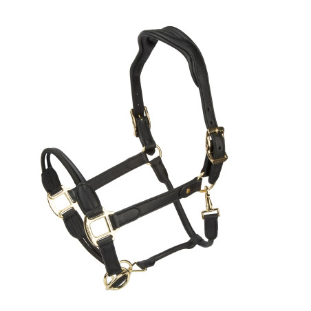 Licol en cuir Soria Control Shires Velociti Lusso