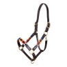 Licol polo en cuir Shires Velociti Gara - Turquoise / rouge / orange / bleu
