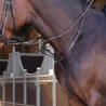 Martingale à anneaux Elite Shires Velociti Lusso - Havane