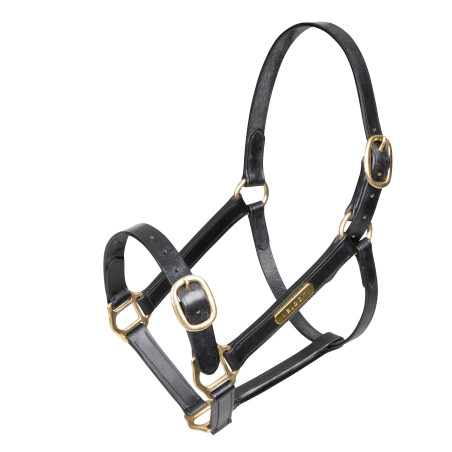 Licol en cuir entièrement réglable Shires Velociti Gara