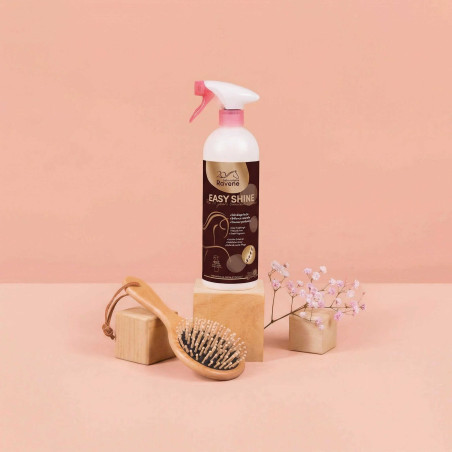 Easy Shine Ravene Ontklitter Glansspray Limited Edition 20 jaar