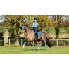 Tapis de selle LeMieux Loire Dressage Square - Ice blue