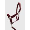 Licol et longe Harcour Cinsy - Vigne