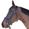 Bridon Pull Back Euro Chetak - Bruin