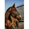 Norton Extra halster - Donkergroen