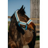 Licol Norton Comfy - Bleu
