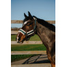 Norton Comfy halster - Donkergroen