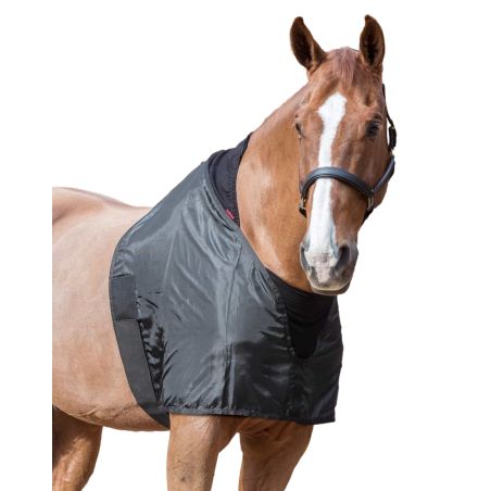 Protection d'épaules Lemieux