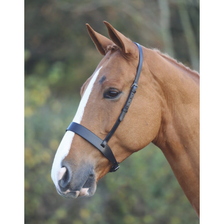 Cavezzo Hunter Shires Velociti Gara