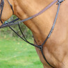 Collier de chasse Hunt Weight Shires Velociti Gara - Marron