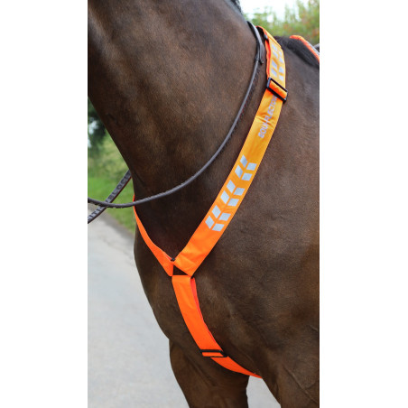 Shires Equi-Flector® borsttuig