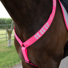Collier de chasse Shires Equi-Flector® - Rose vif