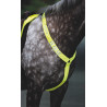 Shires Equi-Flector® borsttuig - Felgeel