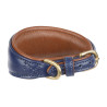 Collier matelassé pour lévrier Shires Digby & Fox - Marine
