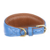 Collier matelassé pour lévrier Shires Digby & Fox - Royal