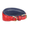 Collier matelassé pour lévrier Shires Digby & Fox - Écarlate