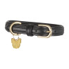 Collier pour chien en cuir matelassé Shires Digby & Fox - Noir