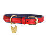 Shires Digby & Fox gewatteerde leren hondenhalsband - Scharlaken