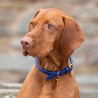Ronde leren hondenhalsband Shires Digby & Fox - Koninklijk