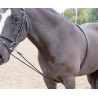 Flexibele longeerhulp Shires - Zwart