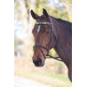 Shires Velociti Gara leren frontriem polo-style - Violet / donkergroen / geel