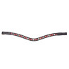Frontal trois tons Shires Velociti Gara - Noir / rouge