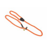 Shires Digby & Fox hondenriem in koord met lasso - Oranje