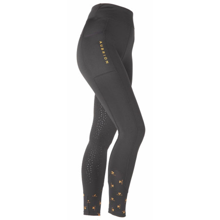 Aubrion Shires winter rijlegging voor paardrijden