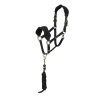 Licol et longe polaire Shires Arma - Noir