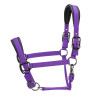 Licol matelassé Pro Shires Arma - Violet