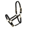 Licol Porto Shires Arma - Noir