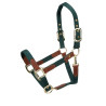 Licol Porto Shires Arma - Vert